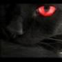 Sitename - Dark_Cat