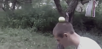 Karateka