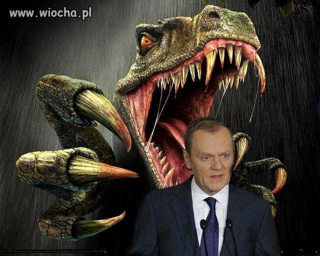 Donald Tusk - Wiocha.pl Absurd 471967