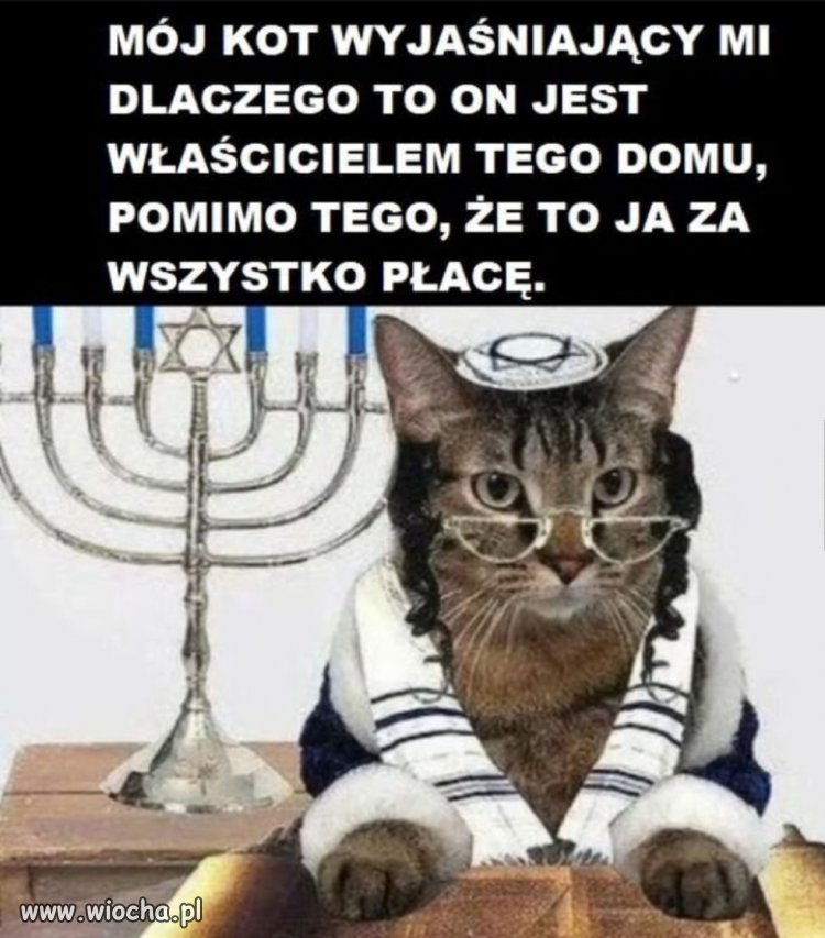 To tylko obrazek 