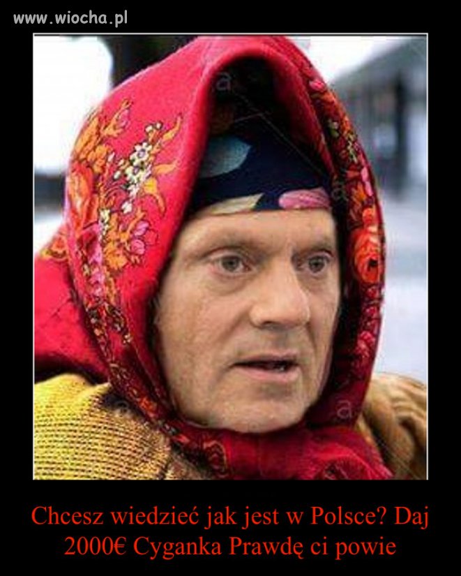 Cyganka - wiocha.pl absurd 1322075