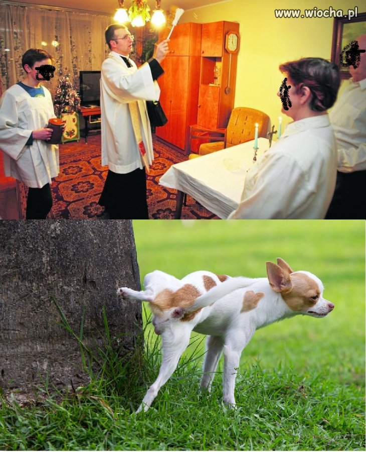 Znaczenie terenu wiocha.pl absurd 1593871