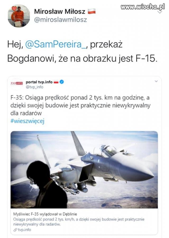 Na pochyłe drzewo - wiocha.pl absurd 1611229