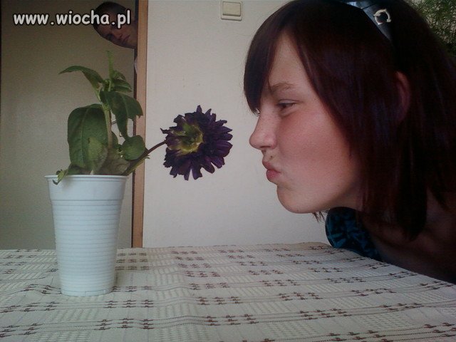 Nie śpię Bo Trzymam Szafę