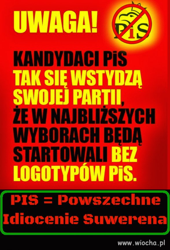 Pisowska żenada wiocha pl absurd 1785016