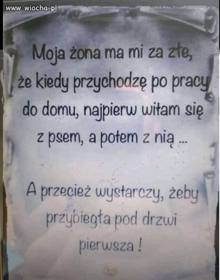 Logika A Pora A Wiocha Pl Absurd