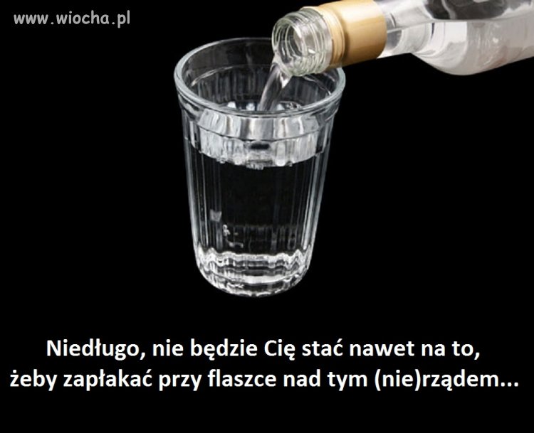 Najtańsza wódka w sklepie za 32 złote, a piwo za 4 - wiocha.pl absurd ...