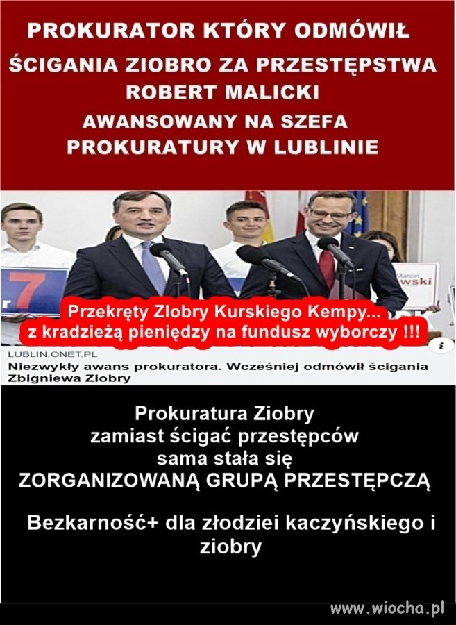 PiSowska ścieżka awansu wiocha pl absurd 1788962