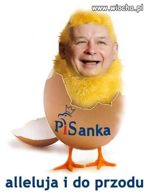 Pisanka wiocha.pl absurd 1501711