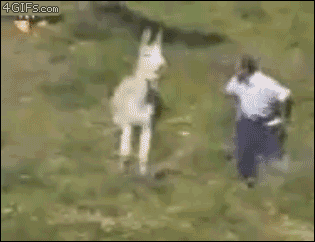 Klapoucha