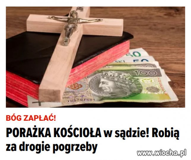 Kupić By Cię Mądrości Za Drogie Pieniądze Za drogie Bóg zapłać! - wiocha.pl absurd 1689956