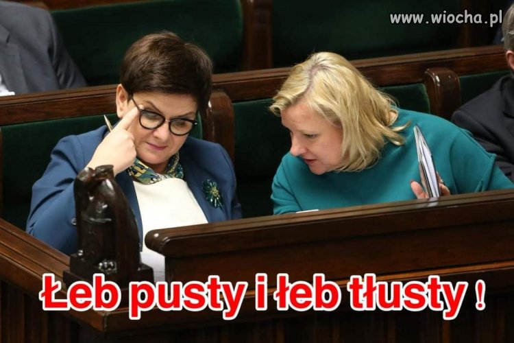 Co dwie głowy, to nie jedna - wiocha.pl absurd 1786967
