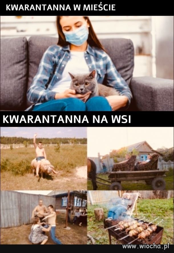 Jesteś ze wsi, teraz nabiera pozytywnego znaczenia wiocha.pl absurd