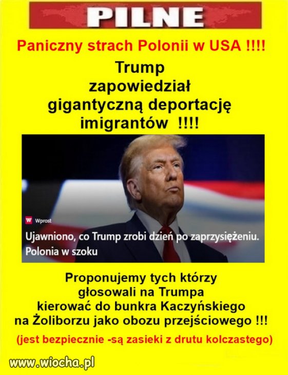 Paniczny Strach Polonii W USA Wiocha Pl Absurd 1819030