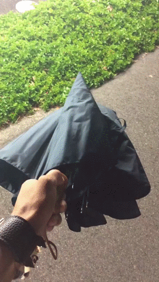 Chinski parasol