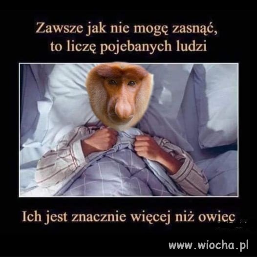 Można liczyć pisiorów wiocha pl absurd 1749118