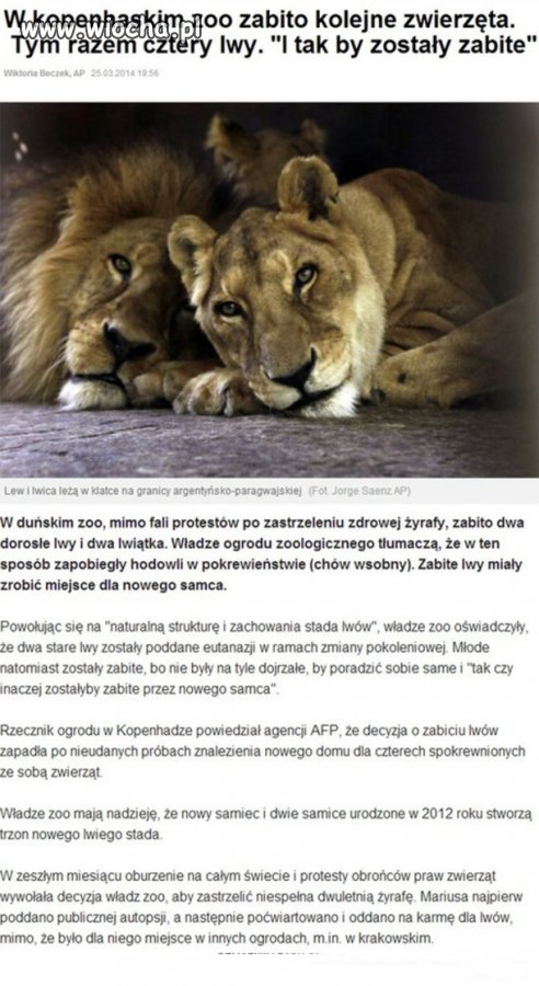 Człowiek-to brzmi dumnie. - wiocha.pl absurd 1089341