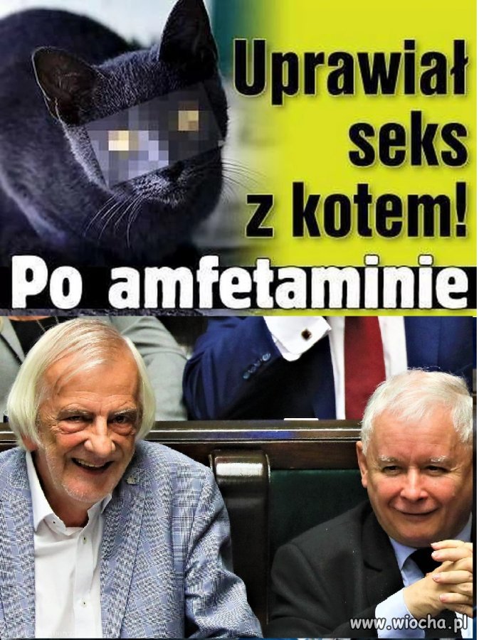 Co Odpowiada Kaczyński Pytany O Sex Wiochapl Absurd 1735276 1795