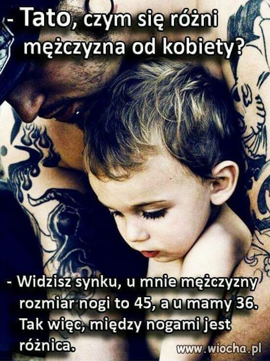 To są proste rzeczy wiocha pl absurd 1746140