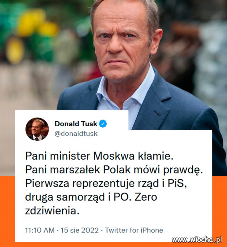 Donald Tusk ! - Wiocha.pl Absurd 1729001