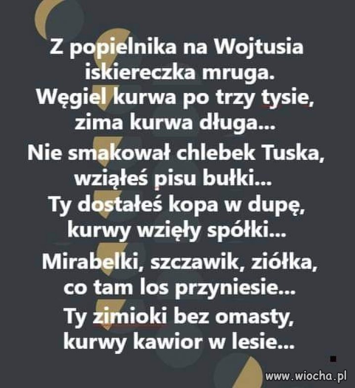 Poezja do poduszki - wiocha.pl absurd 1727179