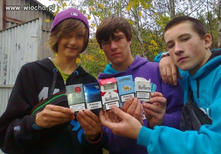 Gangsta z gimbazy... wiocha.pl absurd 978634