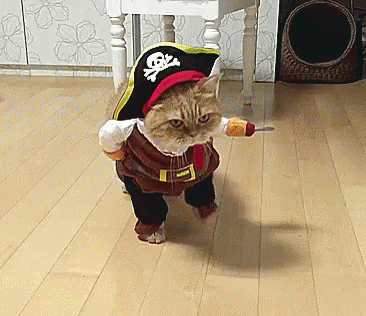 Maly pirat.