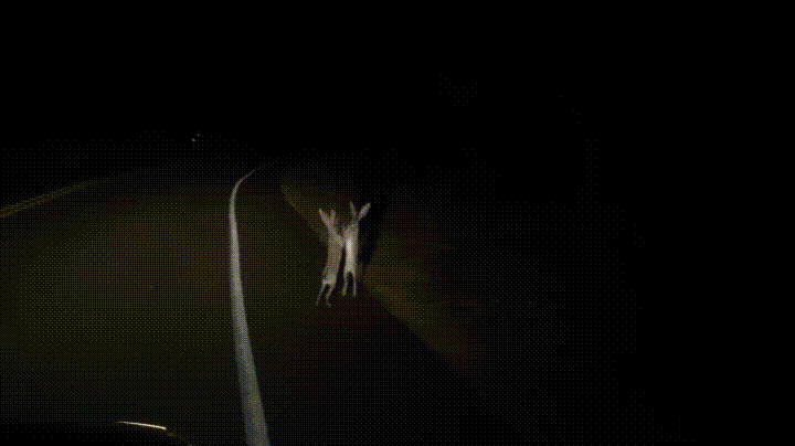 Ha ha ha...
