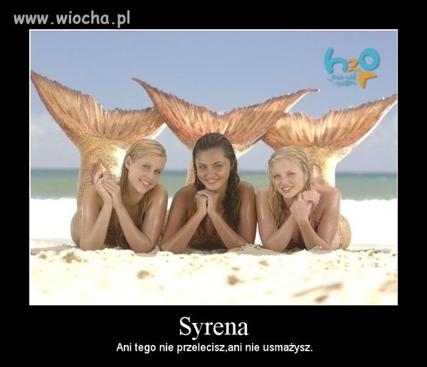 Syreny - wiocha.pl absurd 1187225