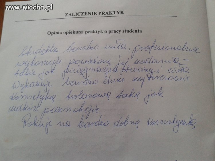 Opinia o "Studętce" - wiocha.pl absurd 752679
