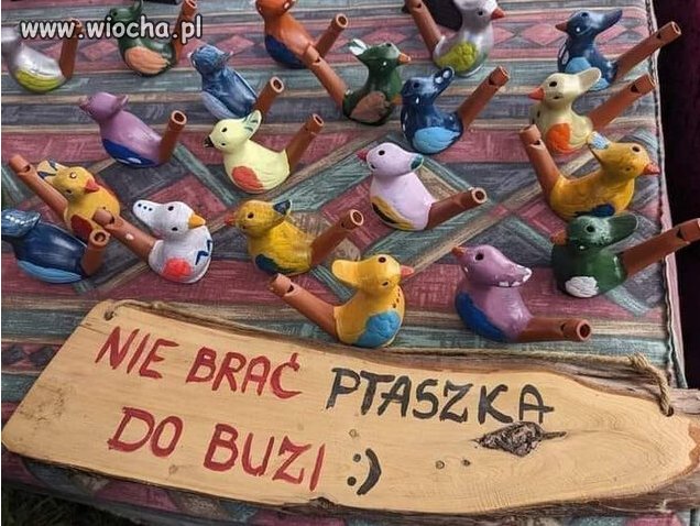 Ptaszka Do Buzi Mo Na Bra Wiocha Pl Absurd