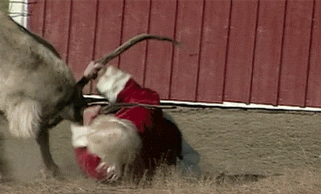 Rudolf sie zbuntowal