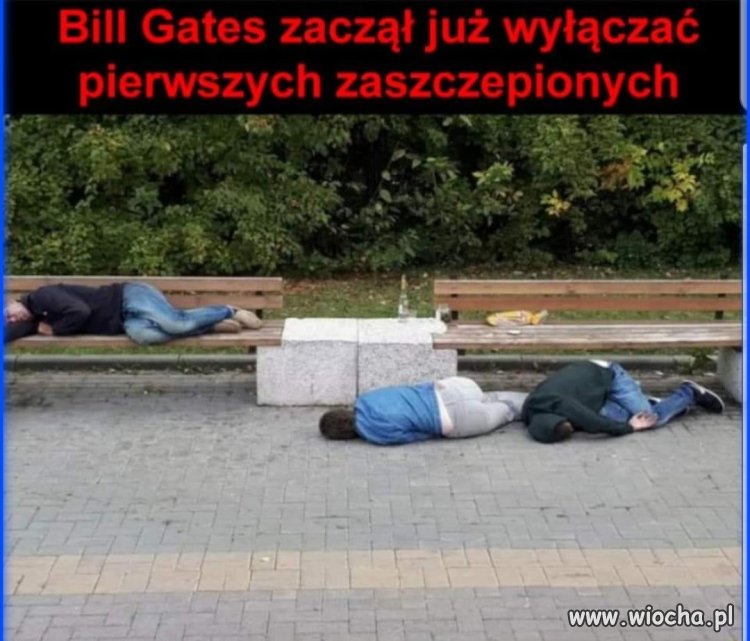 Obrazek