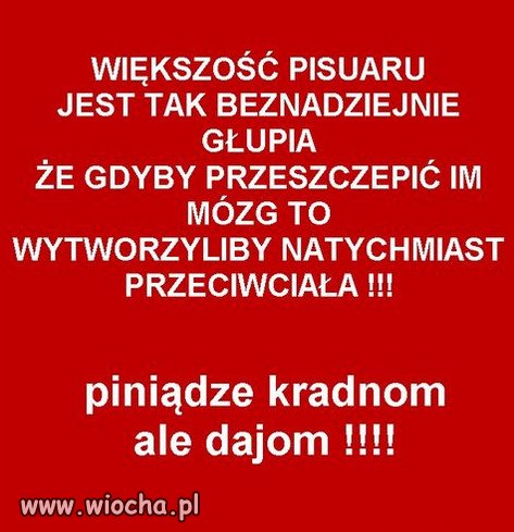 Na Wsi Maja Szacunek Dla Zlodzie PiSu Wiocha Pl Absurd 1757662