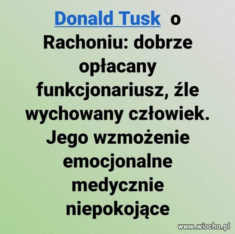 Komentarze Donalda Tuska były super wiocha pl absurd 1770619