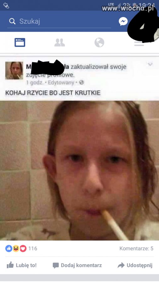 HWDP wiocha.pl absurd 1385227