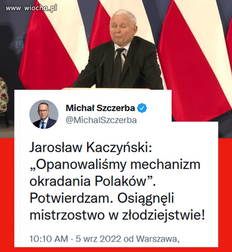 Potwierdzam Wiocha Pl Absurd