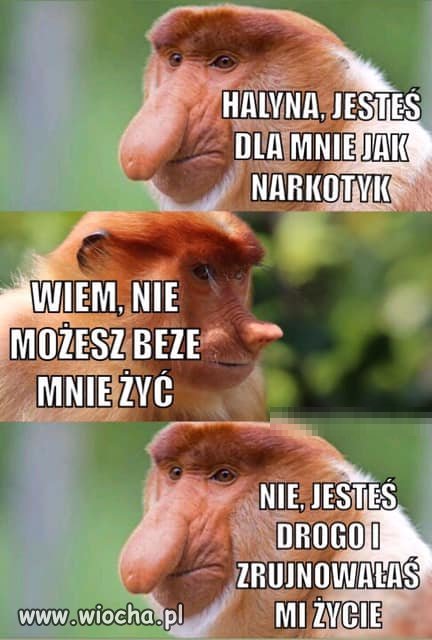 Obrazek