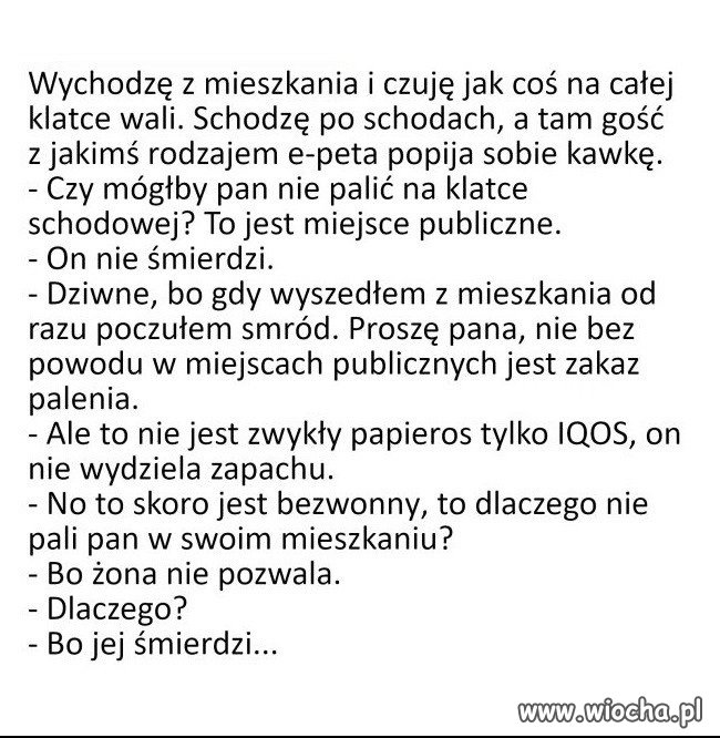 Logika Palaczy Wiocha Pl Absurd