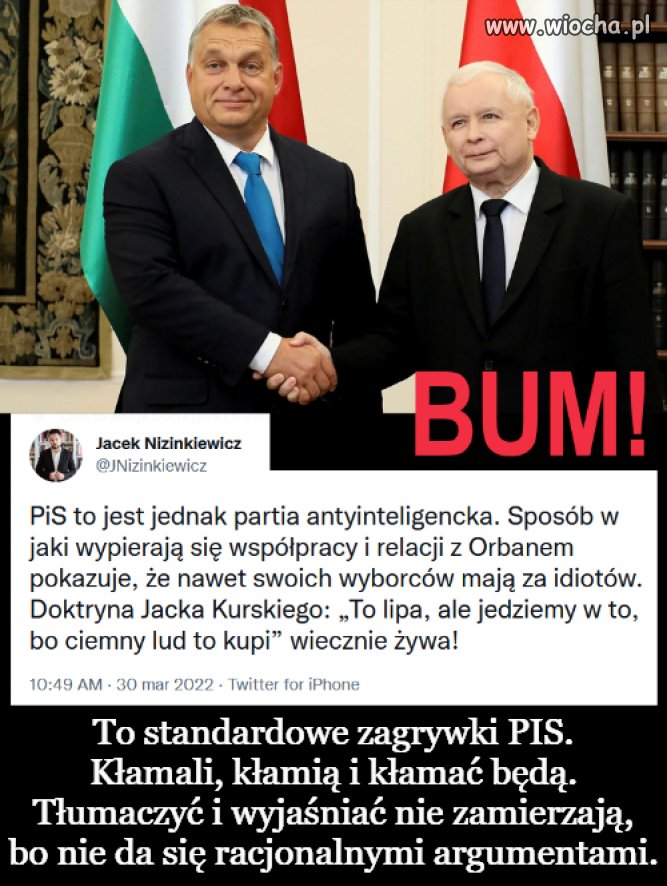 Pis Partia Antyinteligencka Wiocha Pl Absurd