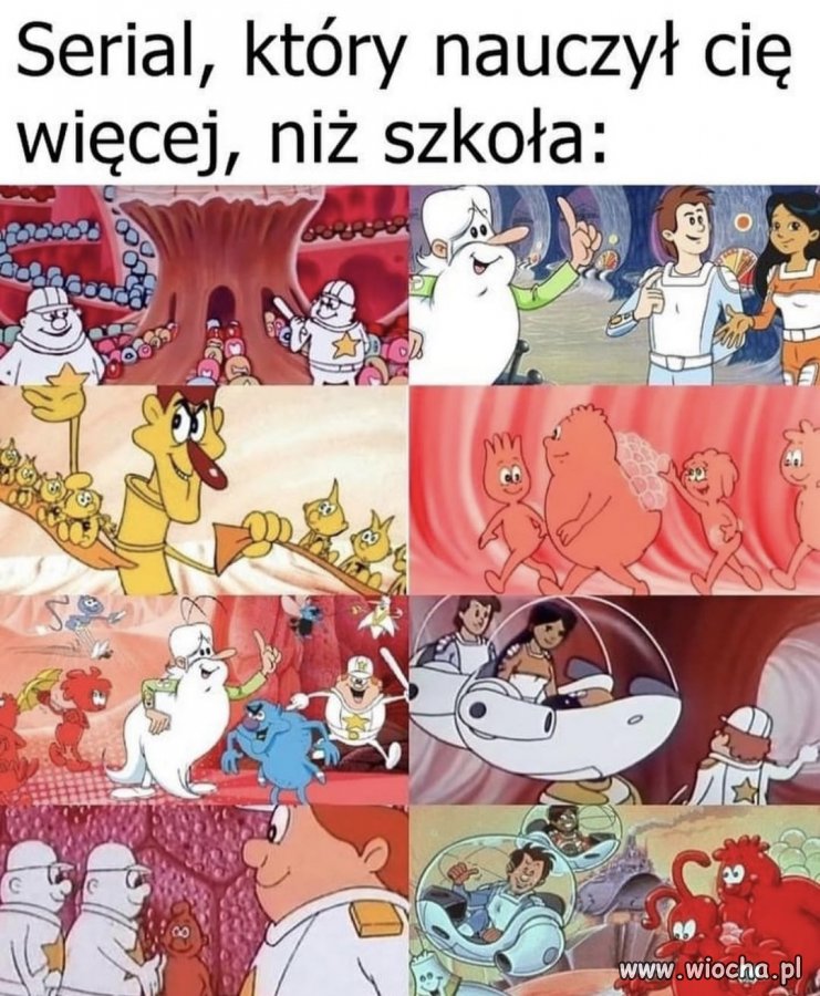 Potwierdzam - Wiocha.pl Absurd 1778573