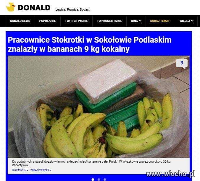 San Eskobar Wiocha pl Absurd 1552053