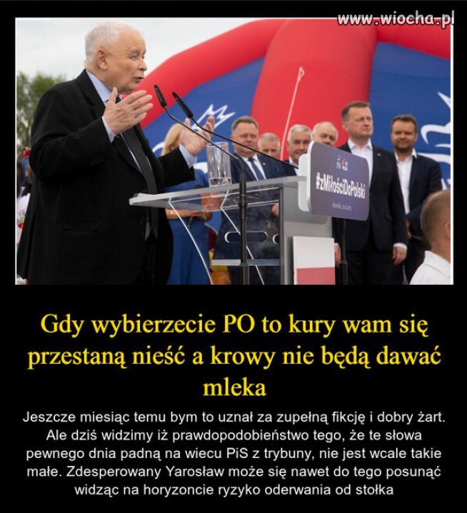 Panika i desperacja Kaczyńskiego nie zna granic wiocha pl absurd