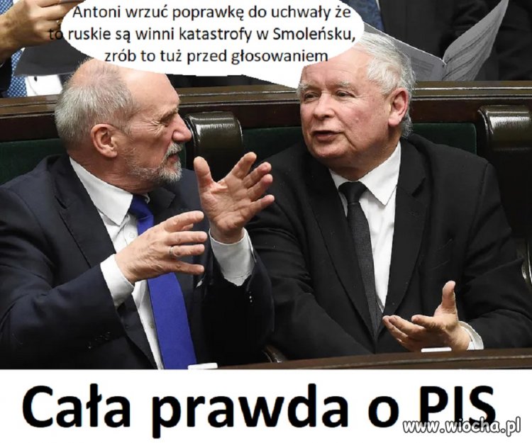 Tak działa PIS wiocha pl absurd 1740398