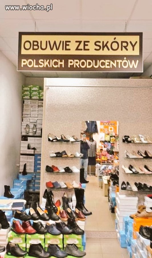 Z Cyklu bez Polityki Wiocha pl Absurd 1693946