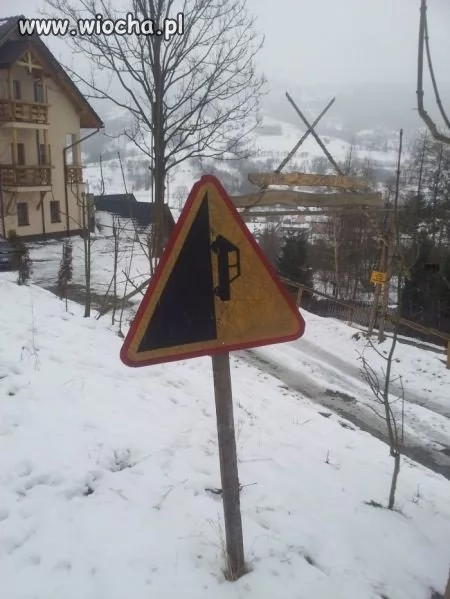 Troche stromo Troche stromo