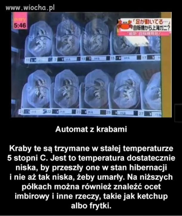 Maszyna z  Maszyna z