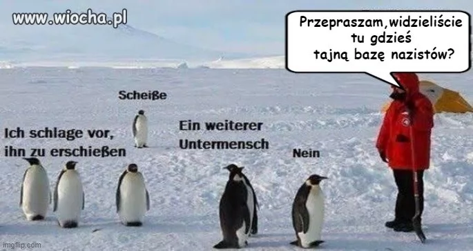 6630996ce90c6abbca16c975b0c4b265.webp?s=1729779589