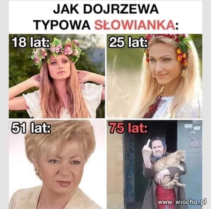 Obrazek