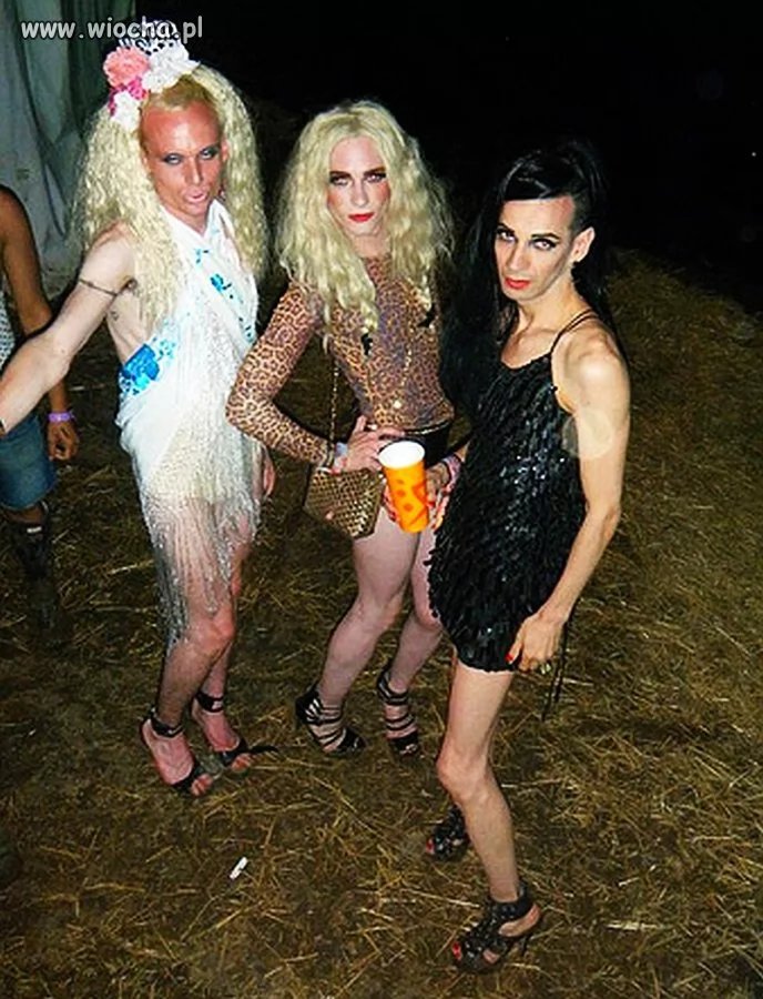 Panny z Wilka Panny z Wilka